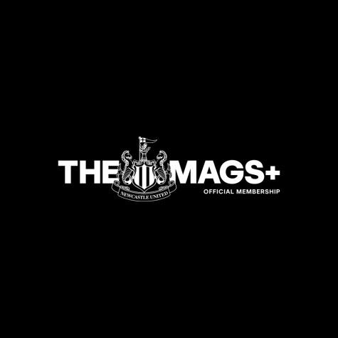 Image - Mags+ 1x1